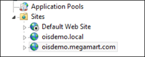 IISWebSiteSaml