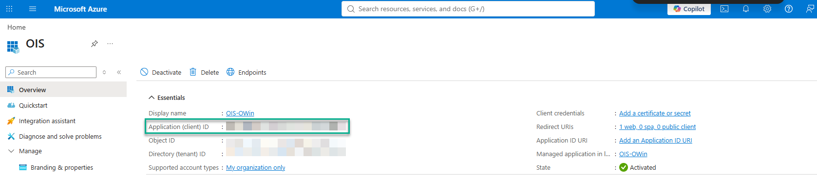Application Overview page with the Application (client) ID field highlighted