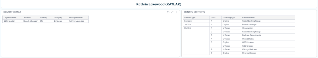 Identity Details widget with data about the selected identity